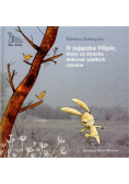O zajączku Filipie który ze strachu dokonał wielkich czynów