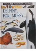 Delfiny foki morsy