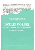 Dzieje Polski opowiedziane dla młodzieży Reprint z 1922 r.