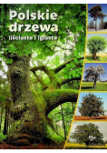 Polskie drzewa liściaste i iglaste