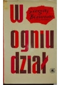 W ogniu dział