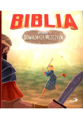 Biblia Historie odważnych mężczyzn