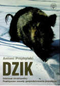 Dzik Odstrzał strukturalny