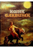 Konik Garbusek