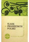 Śląsk w pradziejach Polski