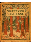 Echa leśne 1920 r.