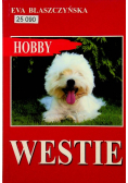 Westie