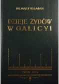 Dzieje Żydów w Galicyi Reprint 1914 r.