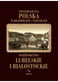 Przedwojenna Polska w krajobrazie i zabytkach Tom X