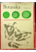 Botanika