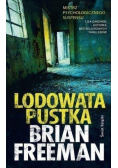 Lodowata pustka
