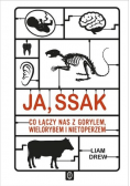 Ja ssak Co łączy nas z gorylem wielorybem i nietoperzem