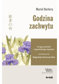 Godzina zachwytu