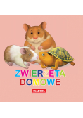 Zwierzęta domowe