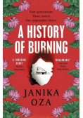 A History of Burning