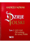Dzieje Polski Tom 2 1202 - 1340 Od rozbicia do nowej Polski