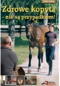 Zdrowe kopyta  nie są przypadkiem