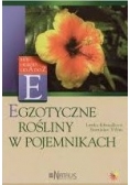 Egzotyczne Rośliny w pojemnikach
