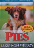 Pies leksykon wiedzy