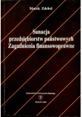 Sanacja przedsiębiorstw państwowych Zagadnienia finansowoprawne