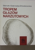 Tropem głazów narzutowych
