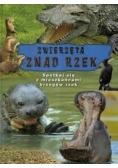 Zwierzęta znad rzek