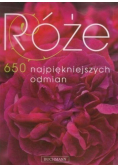 Róże 650 najpiękniejszych odmian