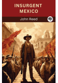 Insurgent Mexico