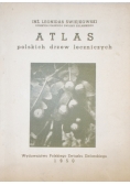 Atlas polskich drzew leczniczych 1950r.