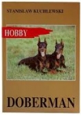 Dobermann