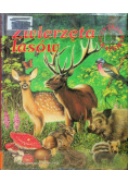 Zwierzęta lasów