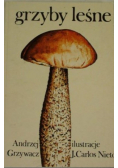 Grzyby leśne