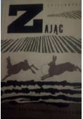 Zając