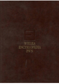 Wielka encyklopedia PWN T.3