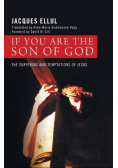 If You Are the Son of God