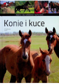 Konie i kuce