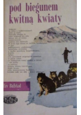 Pod biegunem kwitną kwiaty