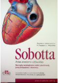 Atlas anatomii człowieka Sobotta Narządy wewnętrzne klatki piersiowej, jamy brzusznej i miednicy