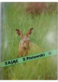 Zając
