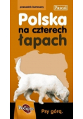 Polska na czterech łapach