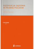 Egzekucja sądowa w prawie polskim