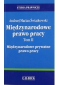 Międzynarodowe prawo pracy, T. II