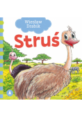 Struś