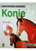 Kurs rysowania i malowania Konie