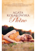 Płótno