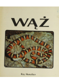 Wąż
