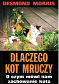 Dlaczego kot mruczy
