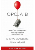 Opcja B