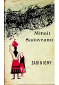 Zaginiony