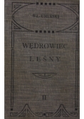 Wędrowiec leśny, 1914 r.